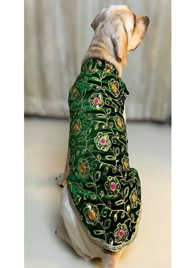 Lulala Festive Dog Sherwani in Green Velvet - Heavily Embroidered Ethnic Outfit for Dogs | Traditional Indian Pet Clothing for Weddings, Diwali and Parties for Dogs - Image 1